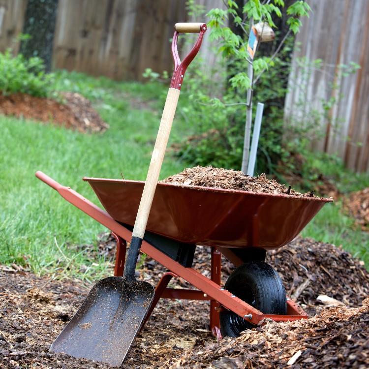 Lawn Care in Greenfield, IN