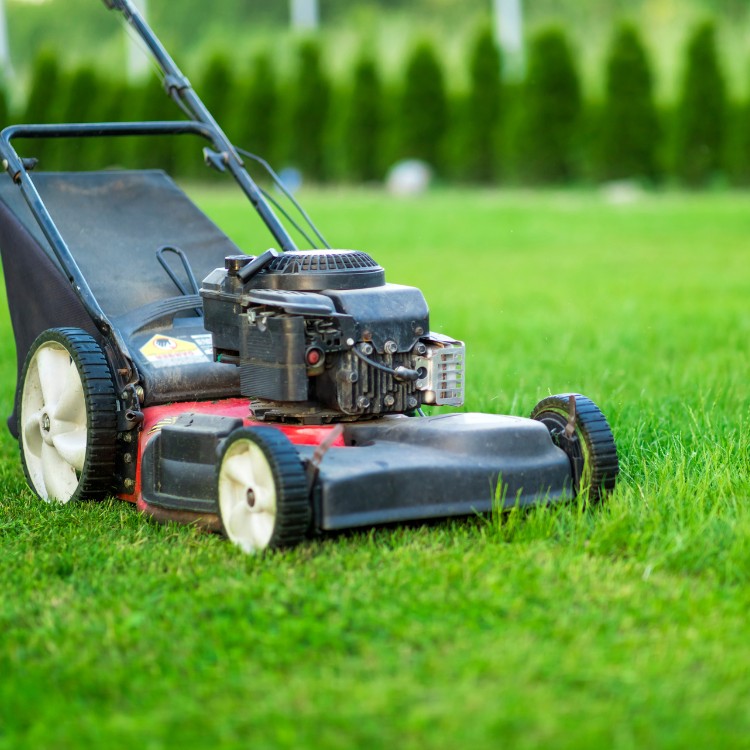 Lawn Care in Greenfield, IN