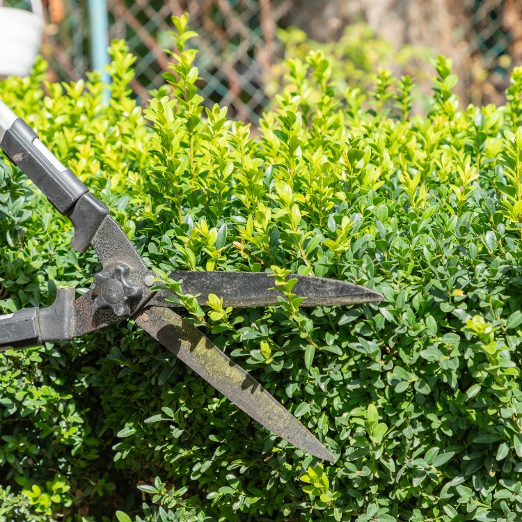 Lawn Care in Greenfield, IN