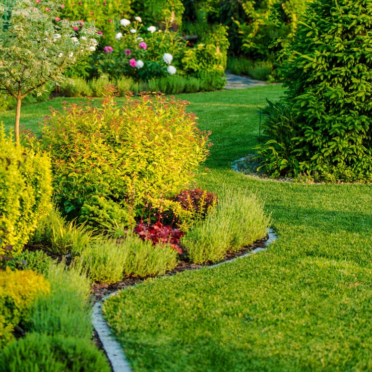 Lawn Care in Greenfield, IN