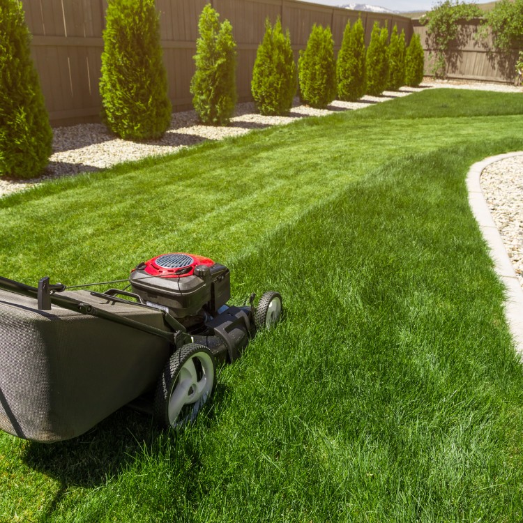 Lawn Care in Greenfield, IN
