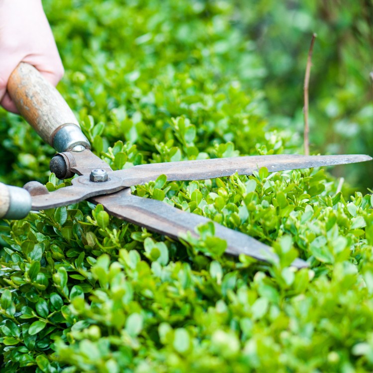 Lawn Care in Greenfield, IN
