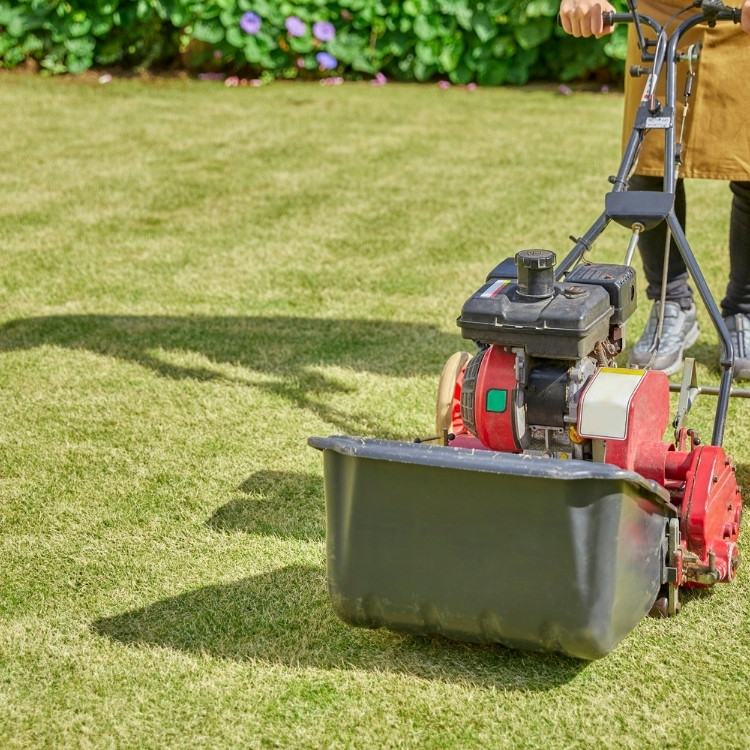 Lawn Care in Greenfield, IN