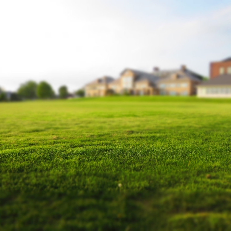 Lawn Care in Greenfield, IN