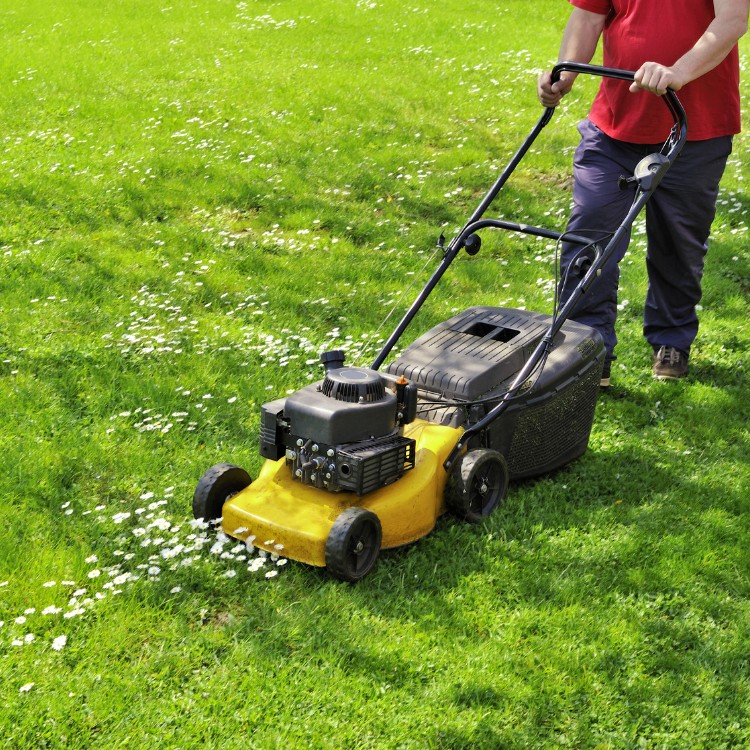 Lawn Care in Greenfield, IN