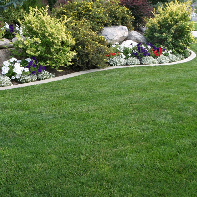 Lawn Care in Greenfield, IN
