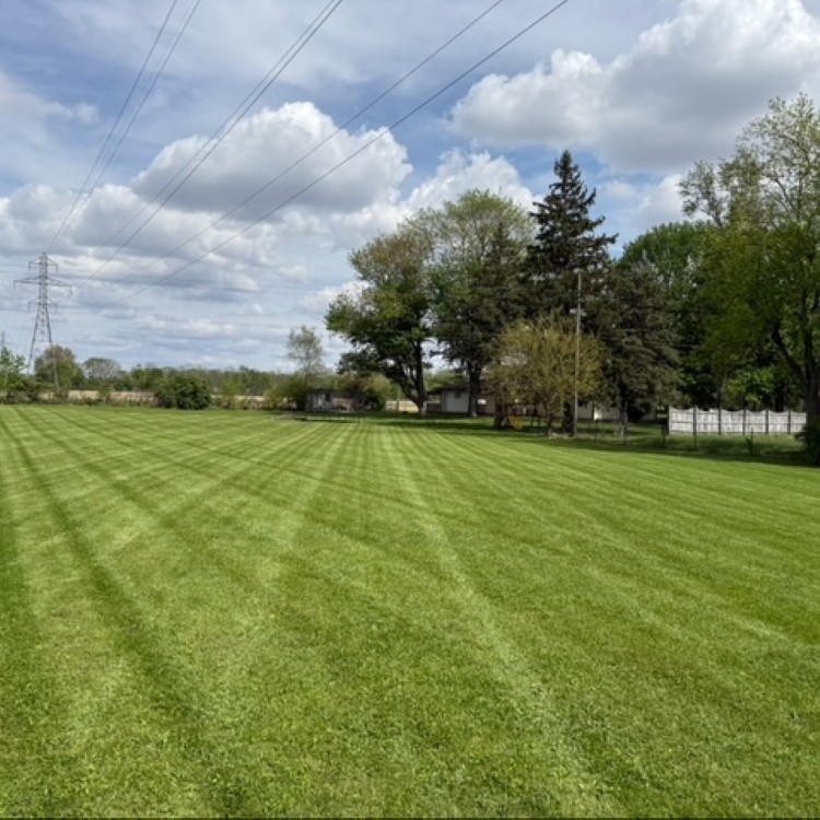 Lawn Care in Greenfield, IN