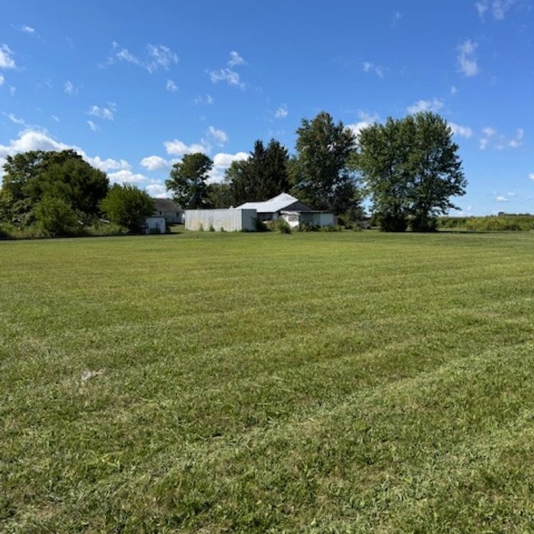 Lawn Care in Greenfield, IN